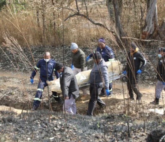 Four Men Found Shot Dead In Gqeberha – Police Appeal For Witnesses After Gruesome Discovery