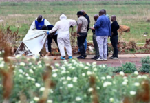 The "R21 Predator": Security Expert Maps Potential Transport Corridor in Ekurhuleni Murders