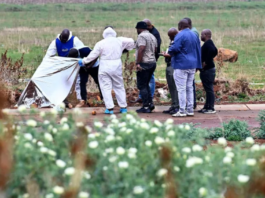 R900 000 Reward Offered – Throat-Slit Woman Found In Open Space