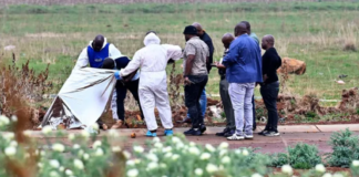 The "R21 Predator": Security Expert Maps Potential Transport Corridor in Ekurhuleni Murders