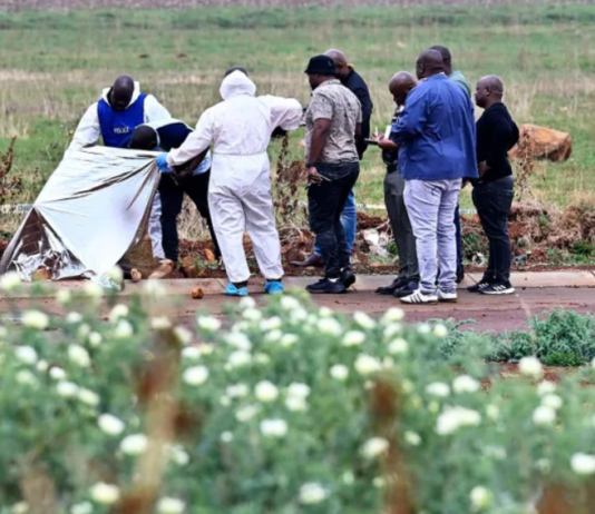 The "R21 Predator": Security Expert Maps Potential Transport Corridor in Ekurhuleni Murders