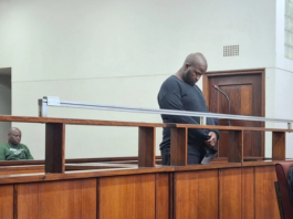 Scholar transport driver accused of killing 14 learners gets R3 000 bail — Court imposes strict rules that could change everything