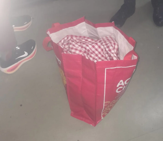 Newborn Baby Found In Red Shoprite Bag Near Gqeberha Shopping Centre – Police Launch Search For His Mother