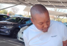 Mpho Malema Arrested At Pretoria Mall As Police Probe The R16 Million Emfuleni Fleet Deal And Eleven Missing Vehicles