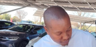 Mpho Malema Arrested At Pretoria Mall As Police Probe The R16 Million Emfuleni Fleet Deal And Eleven Missing Vehicles