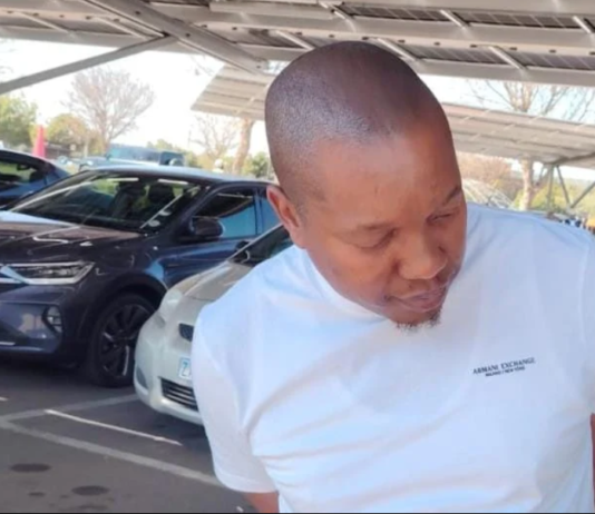 Mpho Malema Arrested At Pretoria Mall As Police Probe The R16 Million Emfuleni Fleet Deal And Eleven Missing Vehicles
