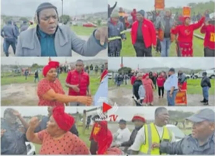 Ngizwe-eff-fight