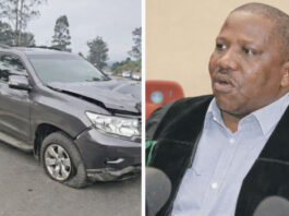 ANC Speaker Faces Suspension After Drunk-Driving Claims Two in Deadly N2 Crash