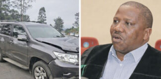 ANC Speaker Faces Suspension After Drunk-Driving Claims Two in Deadly N2 Crash