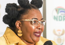 DPSA demands firing of Water and Sanitation Minister Pemmy Majodina after disabled man swearing incident