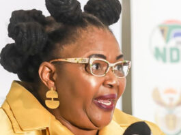 DPSA demands firing of Water and Sanitation Minister Pemmy Majodina after disabled man swearing incident