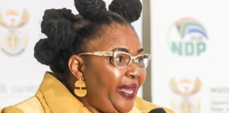 DPSA demands firing of Water and Sanitation Minister Pemmy Majodina after disabled man swearing incident