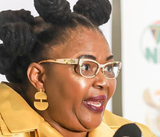 DPSA demands firing of Water and Sanitation Minister Pemmy Majodina after disabled man swearing incident