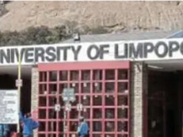 Security Guard, 37, Allegedly Killed By Boyfriend With Hammer At University Of Limpopo