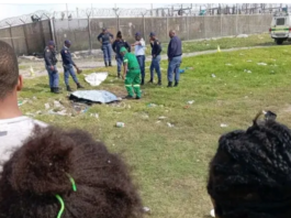 Burnt body with tyre on top found in Delft South open field