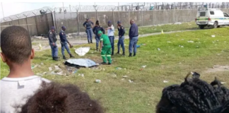 Burnt body with tyre on top found in Delft South open field