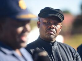 SAPS Lieutenant-General in hot soup, arrested over allegations of grooming teenager for tlof tlof and rape