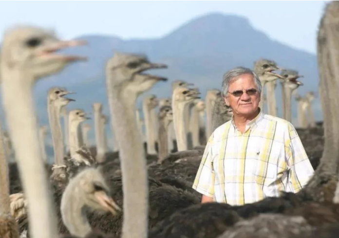 ostrich farmer