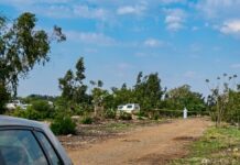 11th woman's body found in Springs as panic grips Ekurhuleni: Why police can't stop the murders