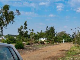 11th woman's body found in Springs as panic grips Ekurhuleni: Why police can't stop the murders