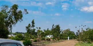 11th woman's body found in Springs as panic grips Ekurhuleni: Why police can't stop the murders