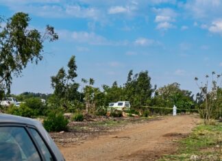 11th woman's body found in Springs as panic grips Ekurhuleni: Why police can't stop the murders