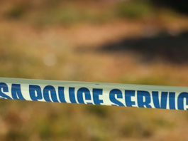 Ekurhuleni killings hit 12: Tembisa woman shot dead on her way to work