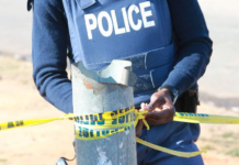 17 killed after armed men open fire at Gauteng tavern