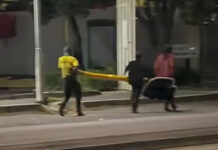 Brazen Thieves Caught Red-Handed While Trying to Make Off with an Entire Traffic Light in the Dead of Night
