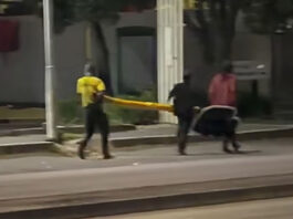 Brazen Thieves Caught Red-Handed While Trying to Make Off with an Entire Traffic Light in the Dead of Night