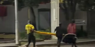 Brazen Thieves Caught Red-Handed While Trying to Make Off with an Entire Traffic Light in the Dead of Night