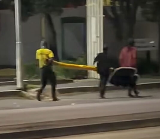Brazen Thieves Caught Red-Handed While Trying to Make Off with an Entire Traffic Light in the Dead of Night