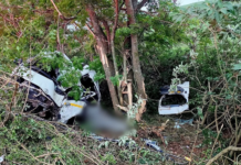 Ten men killed and five critically injured after fully loaded taxi crashes into tree on KwaZulu-Natal road