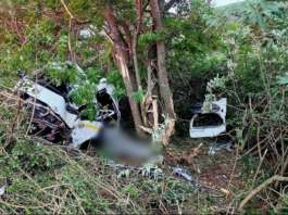 Ten men killed and five critically injured after fully loaded taxi crashes into tree on KwaZulu-Natal road