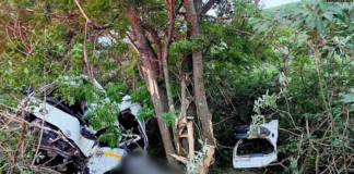 Ten men killed and five critically injured after fully loaded taxi crashes into tree on KwaZulu-Natal road