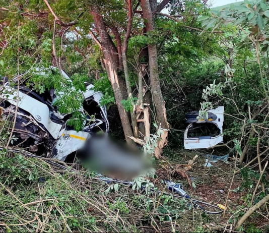 Ten men killed and five critically injured after fully loaded taxi crashes into tree on KwaZulu-Natal road