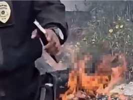 ‘Burned beyond recognition’: Two burning bodies found in Cape Town