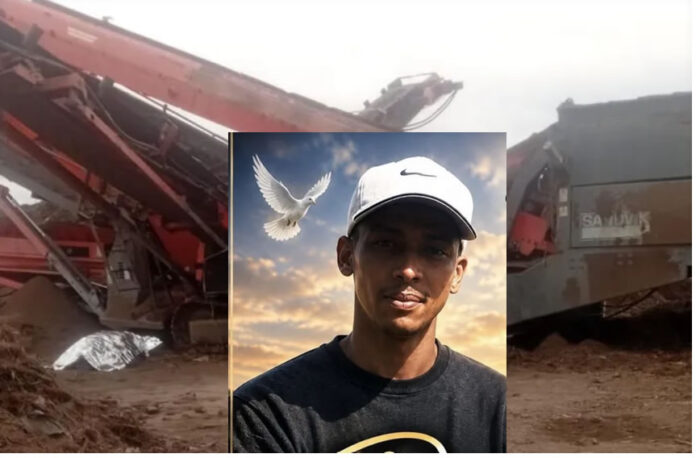 Dino Louw-farm tragedy