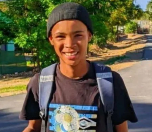 Grade 9 learner dies after falling beneath truck at Hexvallei Secondary while watching matriculants arrive for school ball