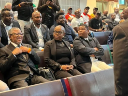 Constitutional Court overturns ANC candidate exclusion, allowing 181 councillor hopefuls to contest November elections