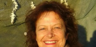 Great-grandmother sentenced to 20 years after court finds she deliberately drove three young children off Bainskloof Pass