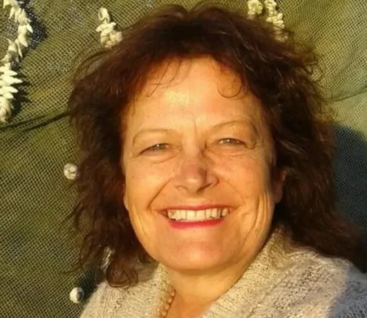 Great-grandmother sentenced to 20 years after court finds she deliberately drove three young children off Bainskloof Pass