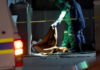 One Killed and Another Airlifted After Armed 55-Year-Old Allegedly Holds People Hostage on Mpumalanga Farm – Suspect Shoots Victim and Himself During Police Negotiations