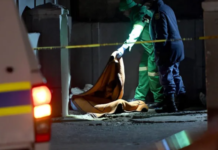 One Killed and Another Airlifted After Armed 55-Year-Old Allegedly Holds People Hostage on Mpumalanga Farm – Suspect Shoots Victim and Himself During Police Negotiations