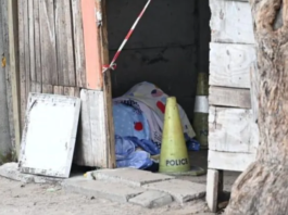 Gunmen chasing alleged gangster kill mother and neighbour in their own yard