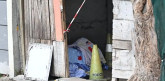 Gunmen chasing alleged gangster kill mother and neighbour in their own yard