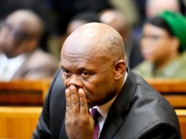 Shadrack Sibiya’s wife makes explosive claim that girl’s father was pressured over charges as suspended police general fights for bail